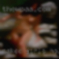 Naked girls holding